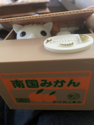 Cat stealing coin electronic - coin,