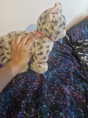 Soft toy cat - toy, for