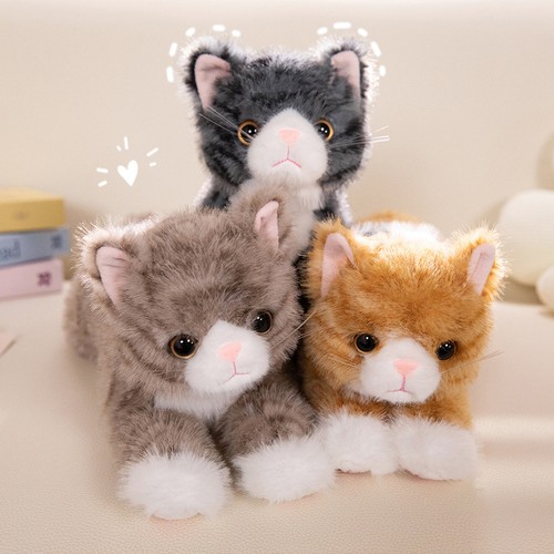 Realistic kitten plush toy - toy, –