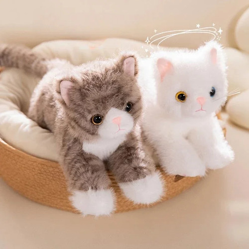 Realistic kitten plush toy - kitten, –