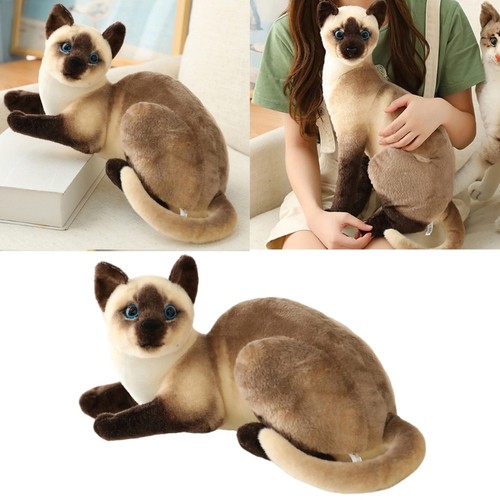 Life like siamese cats - like,
