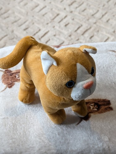 Cute plush cat - cute,