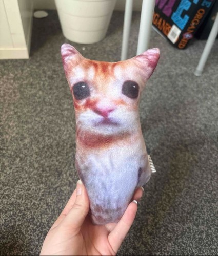 Realistic cat plushie stuffed - cat,