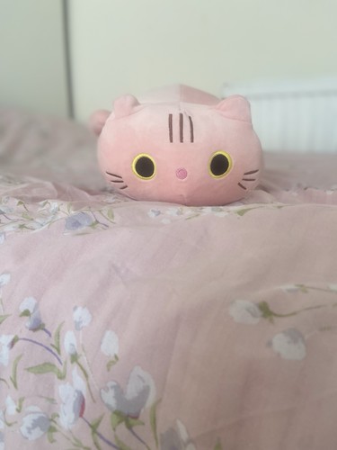 Cute pink cat - pink, pillow