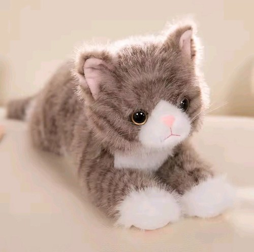 Cute realistic kitten - kitten, plush