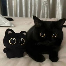 Cute Black Cat Plush Toy 10cm